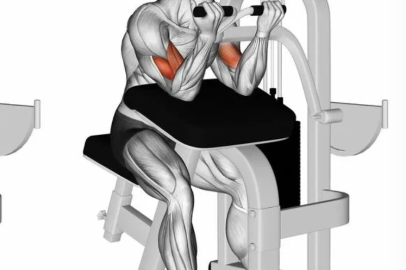 手臂力量训练全攻略：从新手到进阶，让你的胳膊真正“粗”起来