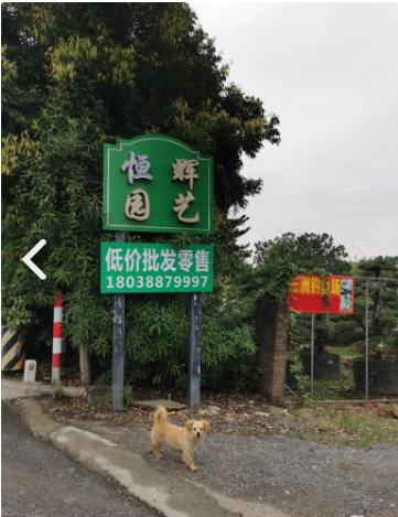 三洲钓鱼场